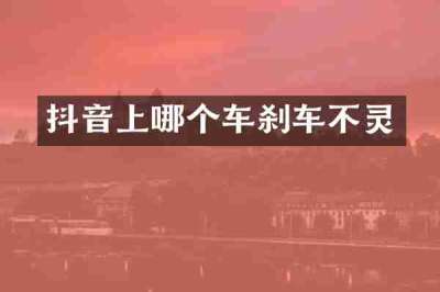 抖音上哪个车刹车不灵