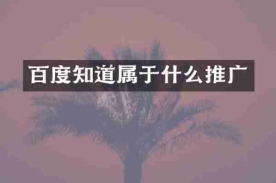 百度知道属于什么推广