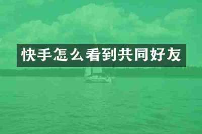 快手怎么看到共同好友