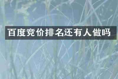 百度竞价排名还有人做吗