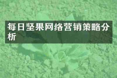 每日坚果网络营销策略分析