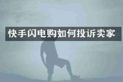 快手闪电购如何投诉卖家