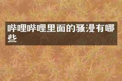 哔哩哔哩里面的骚漫有哪些