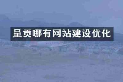 呈贡哪有网站建设优化