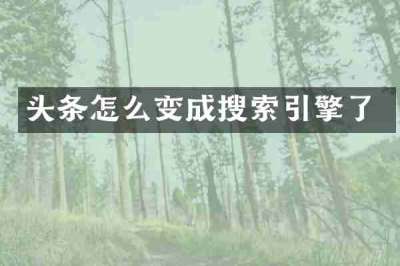 头条怎么变成搜索引擎了