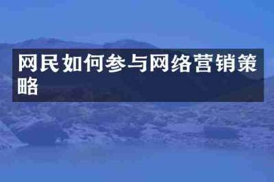 网民如何参与网络营销策略