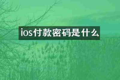 ios付款密码是什么