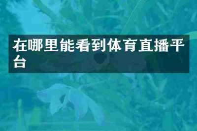 在哪里能看到体育直播平台