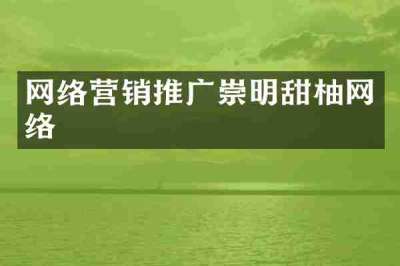 网络营销推广崇明甜柚网络