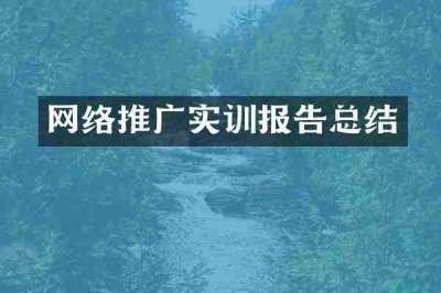 网络推广实训报告总结