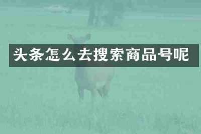 头条怎么去搜索商品号呢