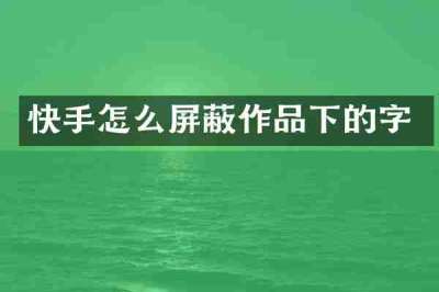 快手怎么屏蔽作品下的字