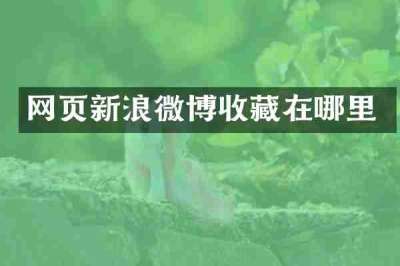 网页新浪微博收藏在哪里