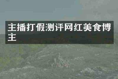 主播打假测评网红美食博主