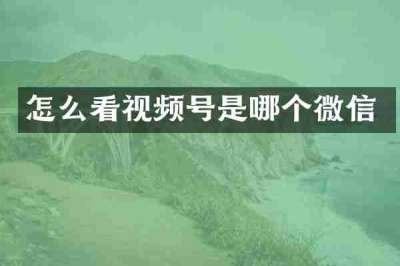 怎么看视频号是哪个微信
