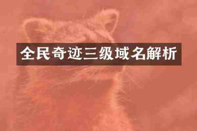 全民奇迹三级域名解析