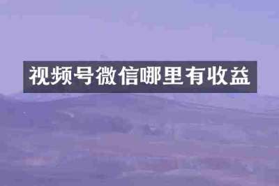 视频号微信哪里有收益