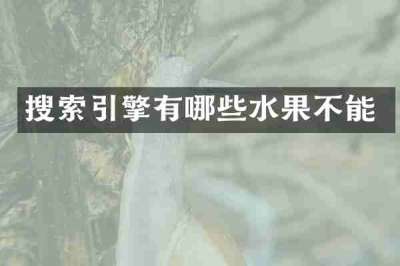 搜索引擎有哪些水果不能