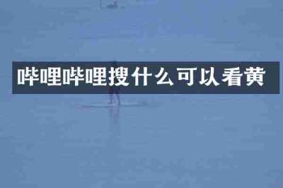 哔哩哔哩搜什么可以看黄