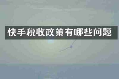 快手税收政策有哪些问题