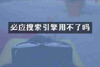 必应搜索引擎用不了吗