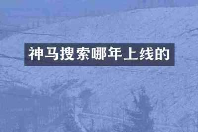 神马搜索哪年上线的
