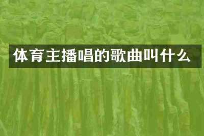 体育主播唱的歌曲叫什么