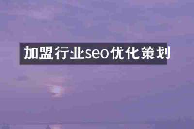 加盟行业seo优化策划