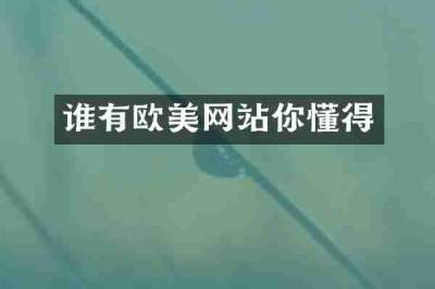 谁有欧美网站你懂得