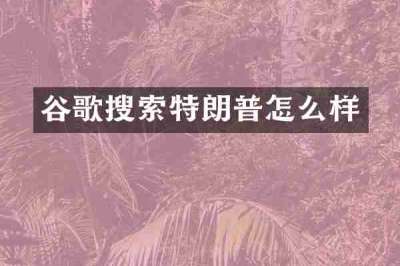 谷歌搜索特朗普怎么样