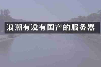 浪潮有没有国产的服务器