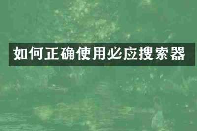 如何正确使用必应搜索器