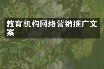 教育机构网络营销推广文案