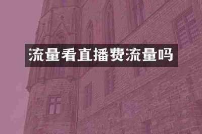 流量看直播费流量吗