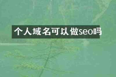 个人域名可以做seo吗