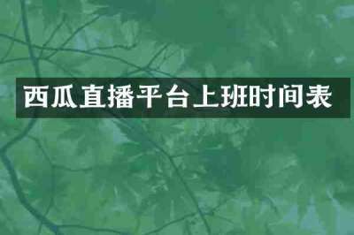 西瓜直播平台上班时间表