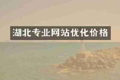 湖北专业网站优化价格