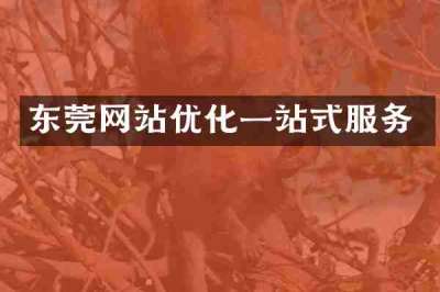 东莞网站优化一站式服务