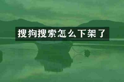 搜狗搜索怎么下架了