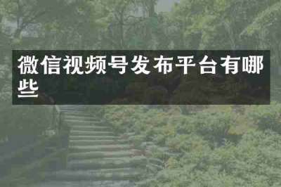 微信视频号发布平台有哪些