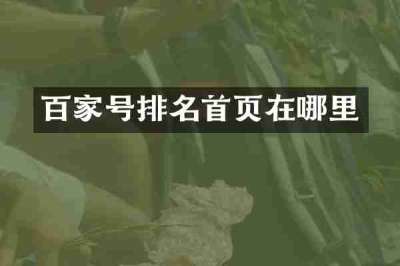 百家号排名首页在哪里