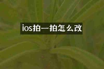 ios拍一拍怎么改