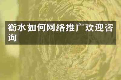 衡水如何网络推广欢迎咨询