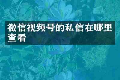 微信视频号的私信在哪里查看