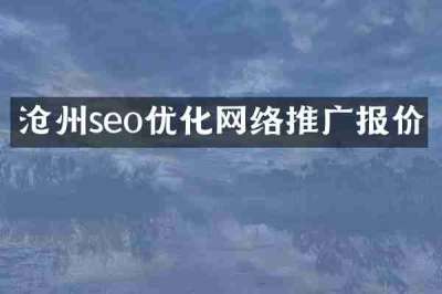 沧州seo优化网络推广报价
