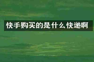 快手购买的是什么快递啊