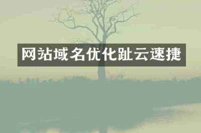 网站域名优化趾云速捷