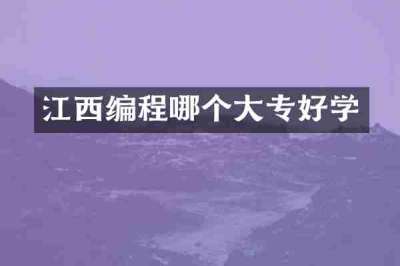 江西编程哪个大专好学