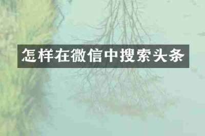 怎样在微信中搜索头条