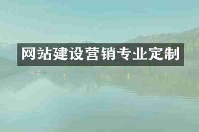 网站建设营销专业定制